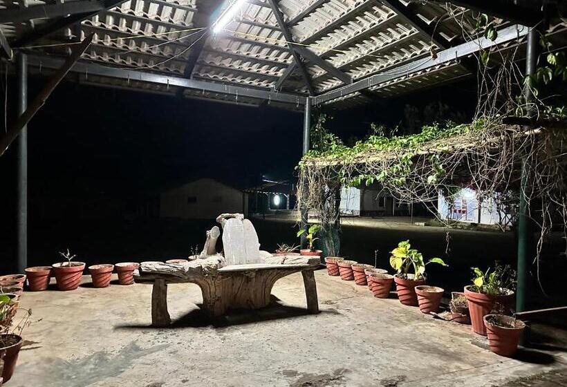 Resort Singaras Coffee Country