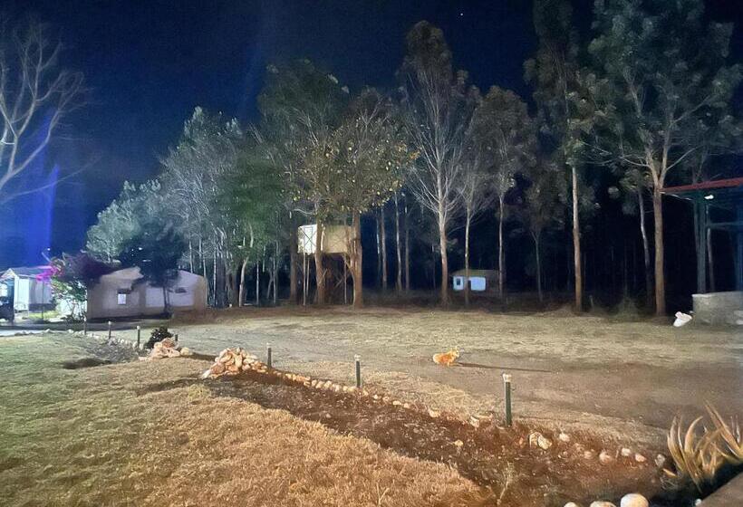 Resort Singaras Coffee Country