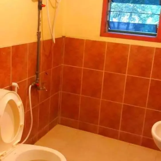 Sukau Backpackers B&b