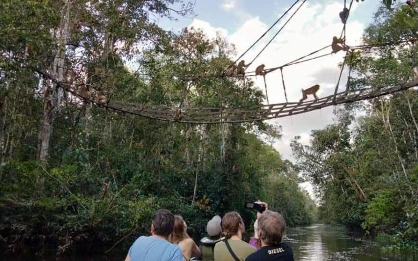 Sukau Backpackers B&b