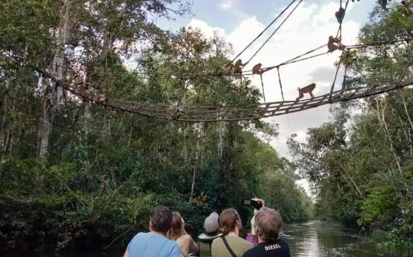 Sukau Backpackers B&b