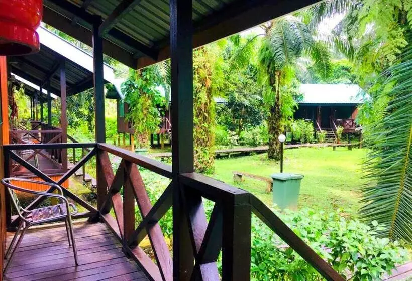 Sukau Backpackers B&b