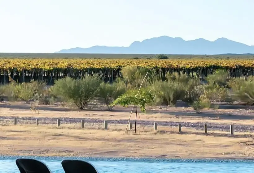 ホテル Entre Viñedos Resort
