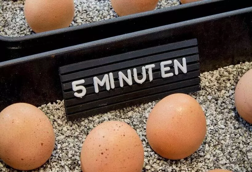 25hours Hotel Das Tour