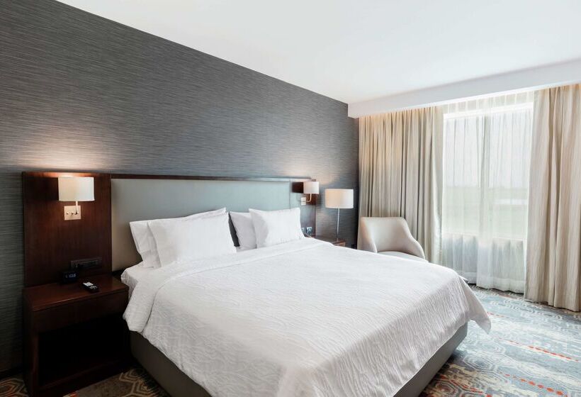 فندق Hilton Garden Inn Salamanca