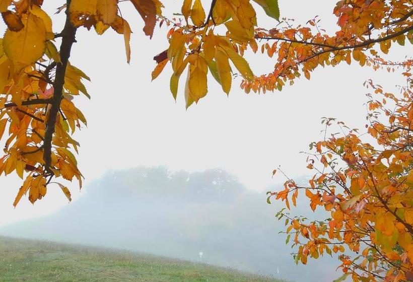 Отель Seminar & Gästehaus Burghof Stauf