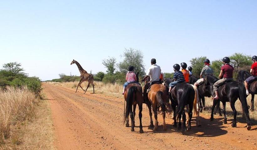 渡假胜地  Sondela Nature Reserve & Spa Country House