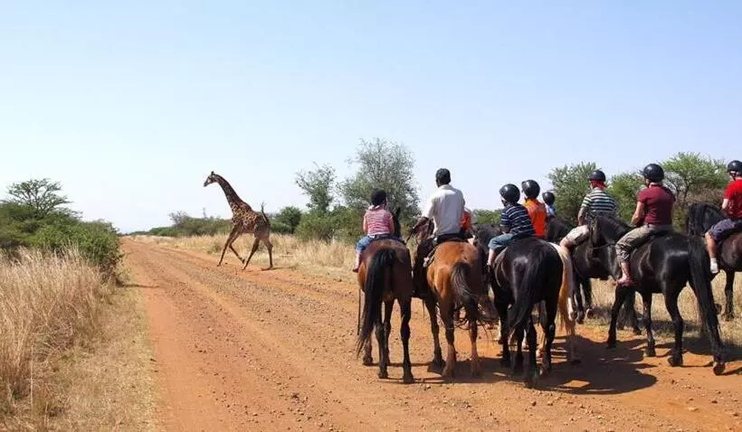 リゾートホテル Sondela Nature Reserve & Spa Country House