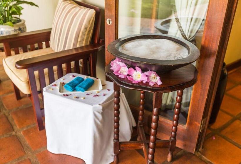 渡假胜地  Sondela Nature Reserve & Spa Country House