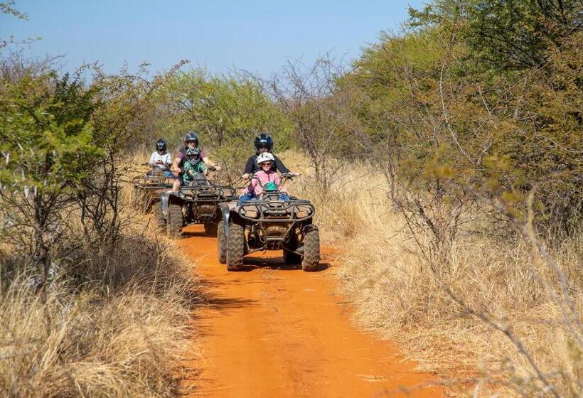 渡假胜地  Sondela Nature Reserve & Spa Country House