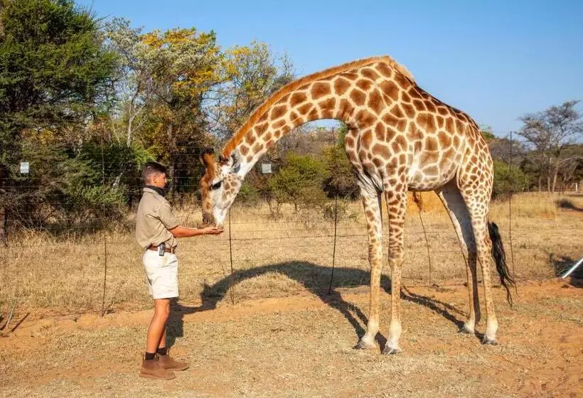 リゾートホテル Sondela Nature Reserve & Spa Country House