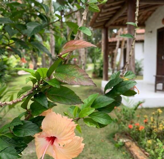 住宿加早餐  Cheiro Nativo   Chalés & Pousada