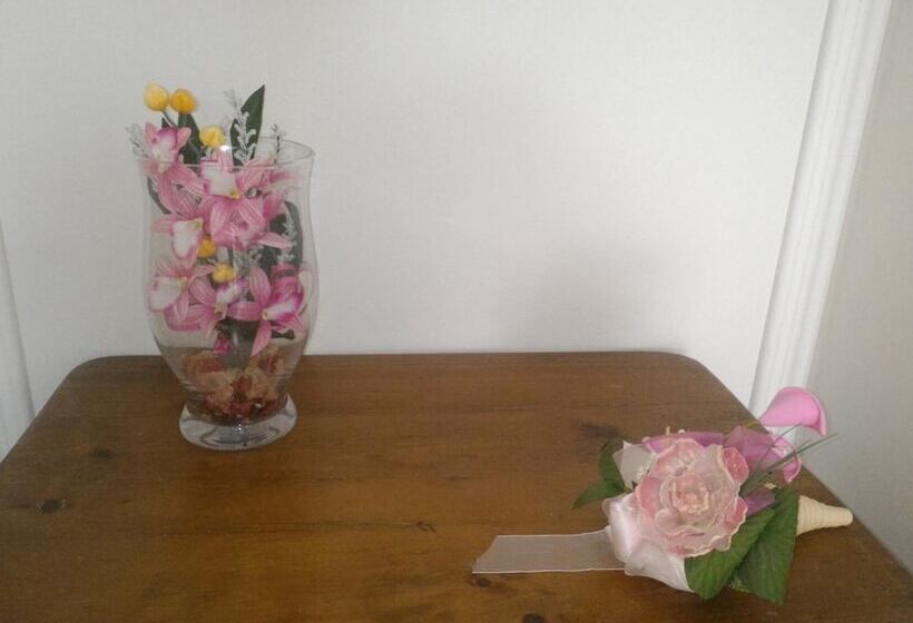 تختخواب و صبحانه La Vita è Bella