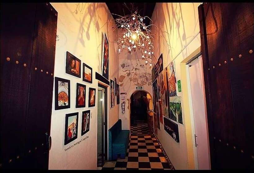 Hostel La Antigua Capsula