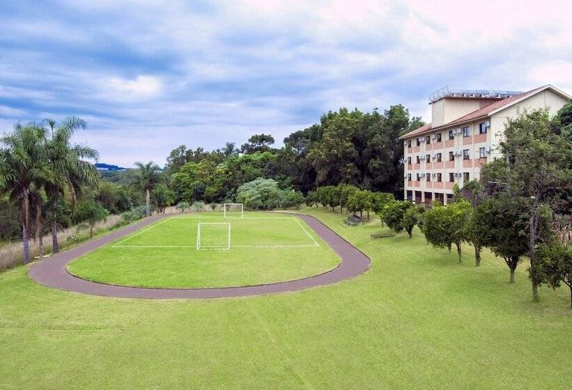 Отель Jardim Europa