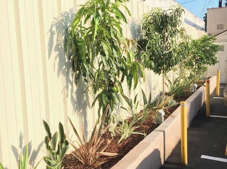 Мотель Mid City Inn