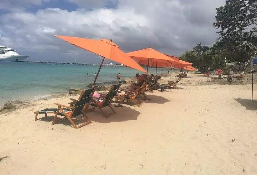 استراحتگاه The Fred  Adults Only