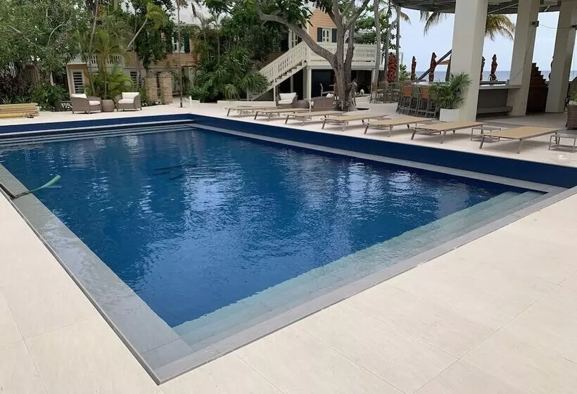 استراحتگاه The Fred  Adults Only