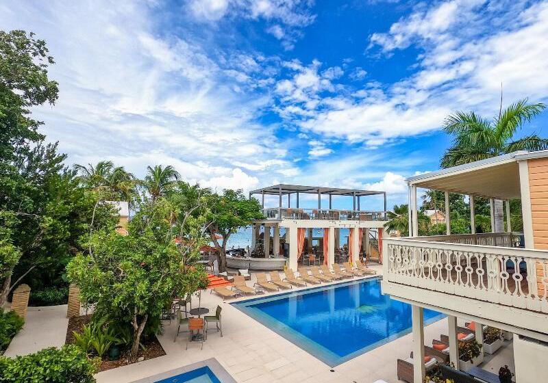 استراحتگاه The Fred Adults Only