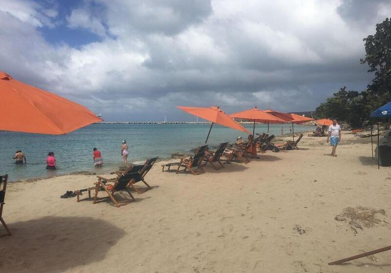 استراحتگاه The Fred Adults Only