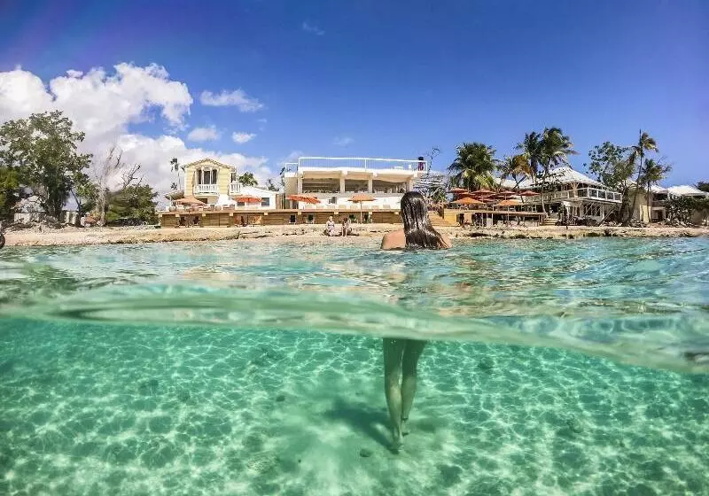 استراحتگاه The Fred  Adults Only