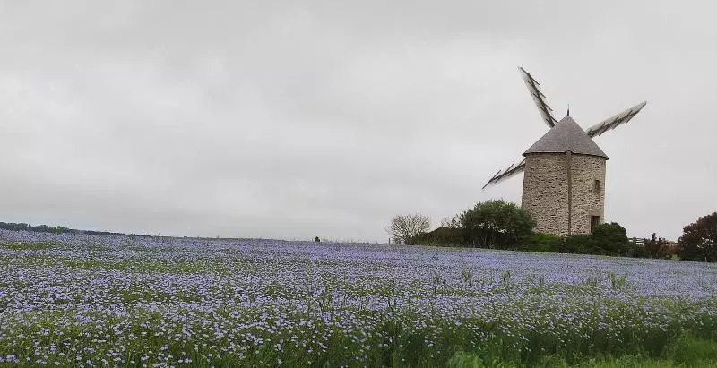 ベッドアンドブレックファースト Le Petit Moulin Rouge