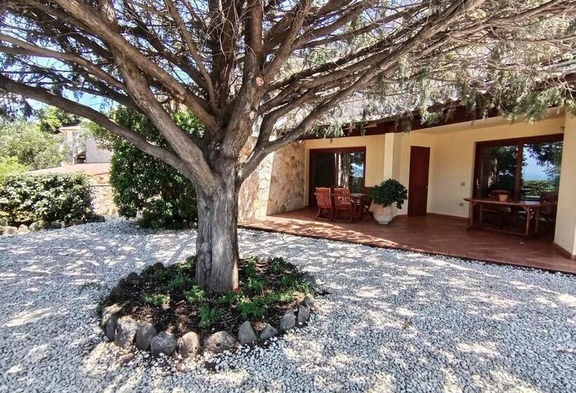 ベッドアンドブレックファースト Casa Piredda Icoré Iun P2102