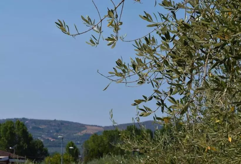 تختخواب و صبحانه Il Rifugio D'amare