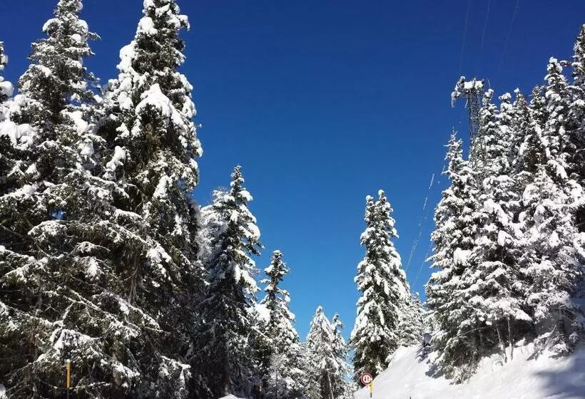 ホテル Gasthof Waldruhe