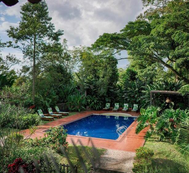 Отель Hacienda Bambusa