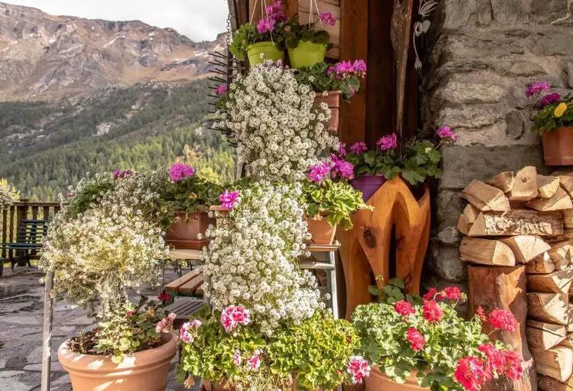 Hotelli & Restaurant Perret   Mountain People