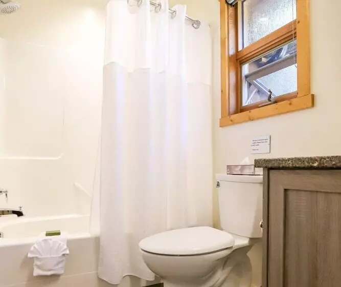 Lomakeskus Wild Renfrew Seaside Cottages