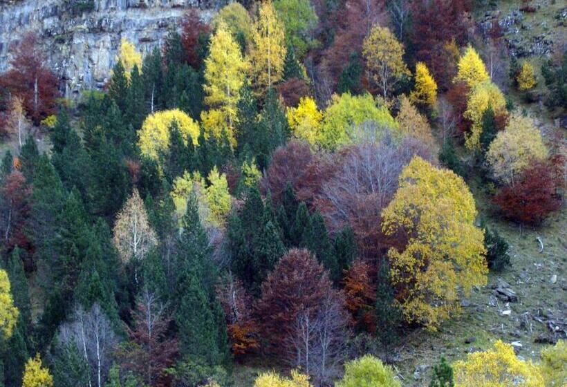 Camping El Jabalãƒæ’ã‚â­ Blanco