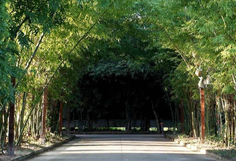 בית מלון כפרי Bamboori Boutique Resort