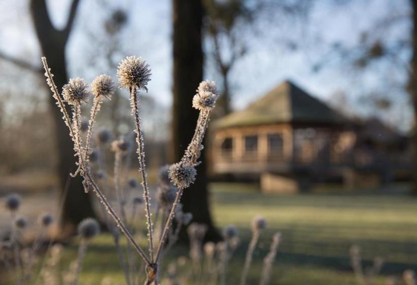 فندق Domaine Du Moulin D Eprave