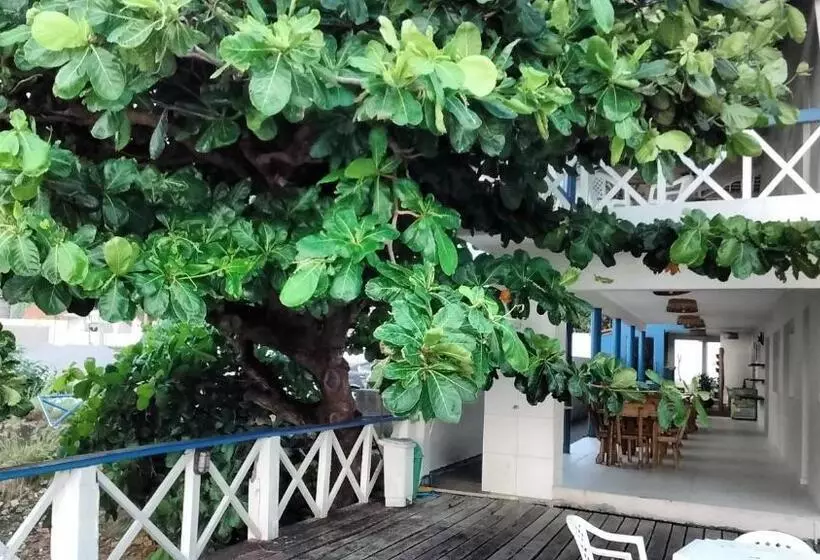 ホテル Dunas De Marape