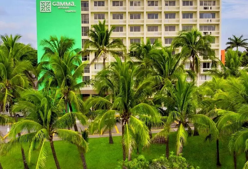 ホテル Gamma Tampico