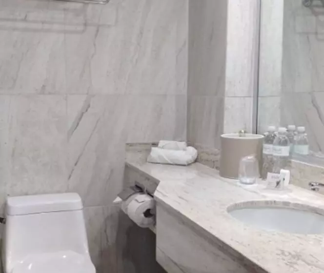 ホテル Gamma Tampico