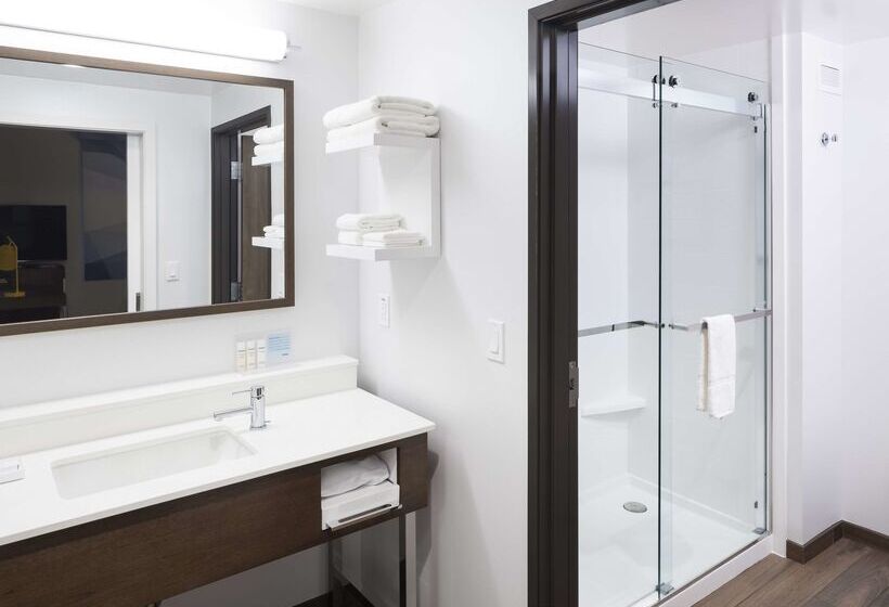 Отель Hampton Inn & Suites Phoenix Downtown