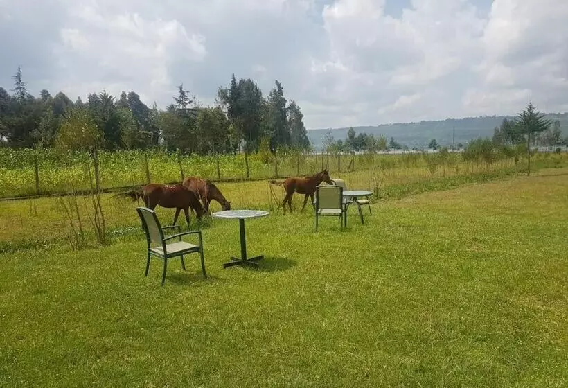 هتل Samawati Lakeside Cottages