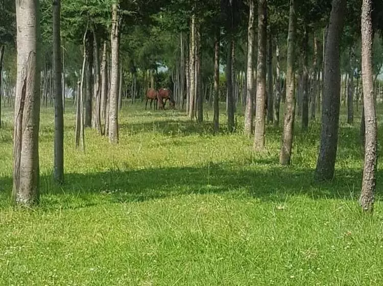 هتل Samawati Lakeside Cottages