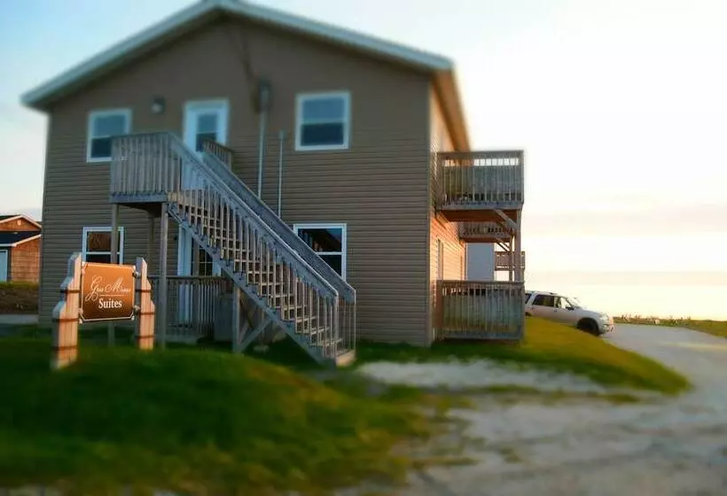 Hotelli Stay In Gros Morne