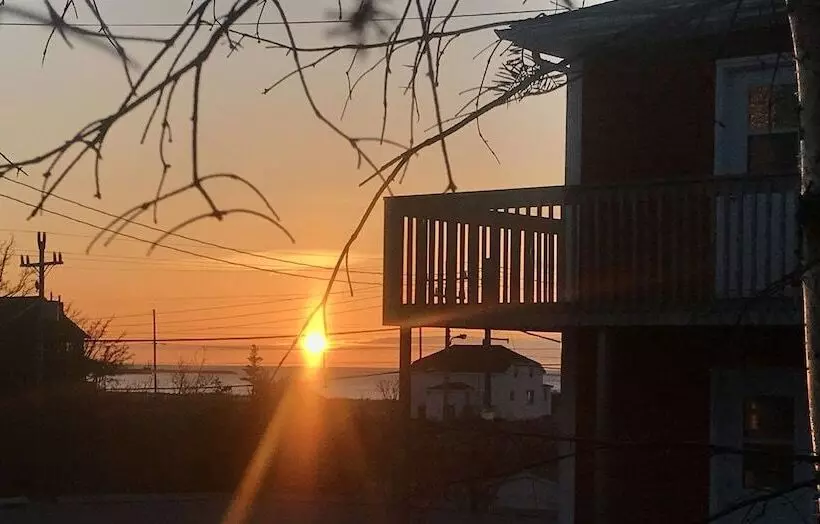 Hotelli Stay In Gros Morne