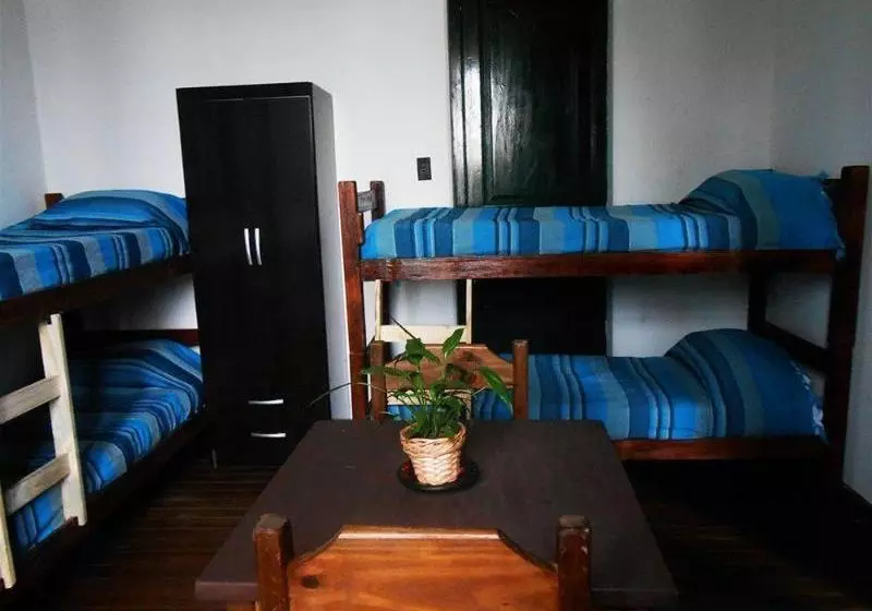 ホテル Che Lagarto - Hostel Colonia