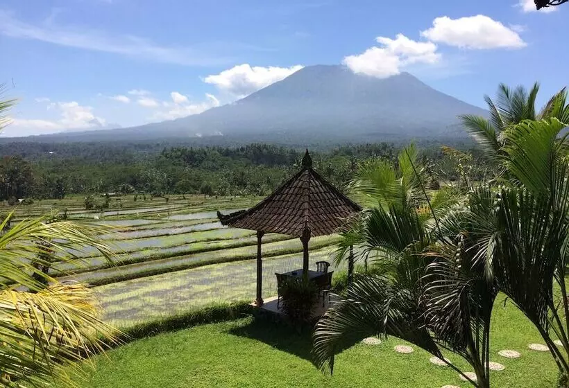 ホテル Great Mountain Views Villa Resort