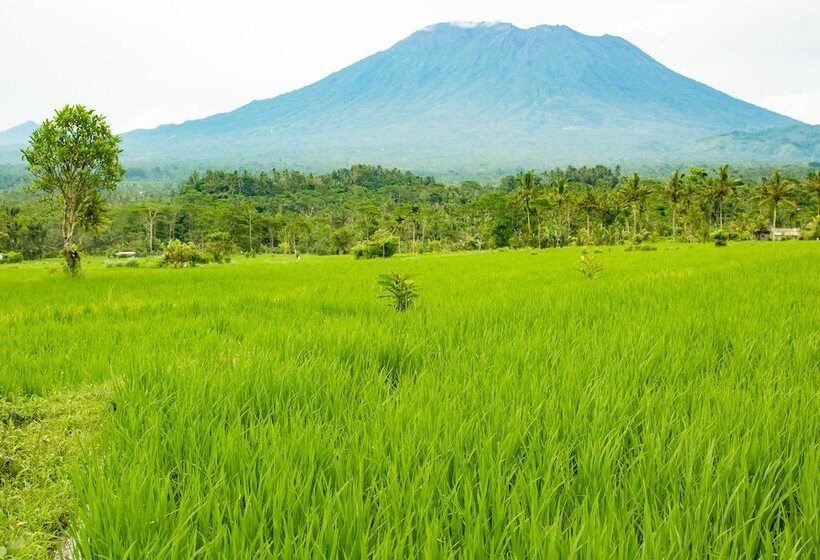 فندق Great Mountain Views Villa Resort