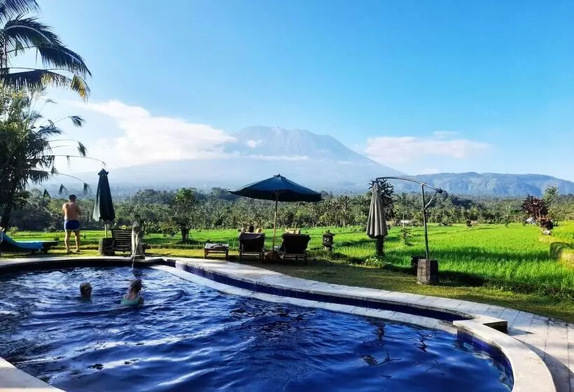 ホテル Great Mountain Views Villa Resort