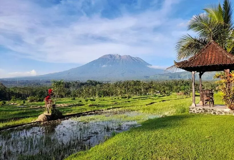 ホテル Great Mountain Views Villa Resort