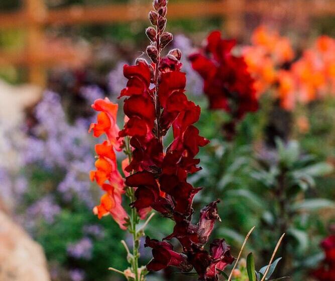 فندق Pine River Ranch B&b