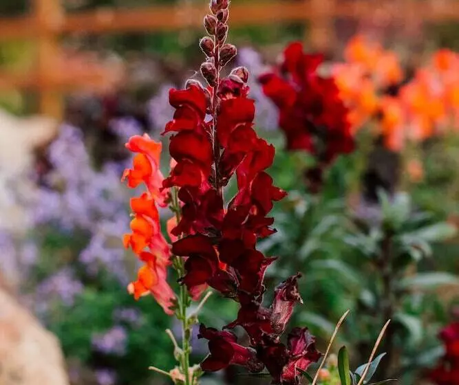 Hotelli Pine River Ranch B&b